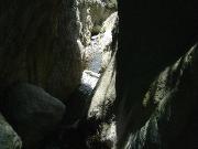 DSC02319 