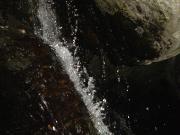 DSC02328 