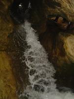 DSC01954 